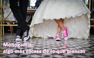 Monogamia: algo más escaso de lo que pensamos