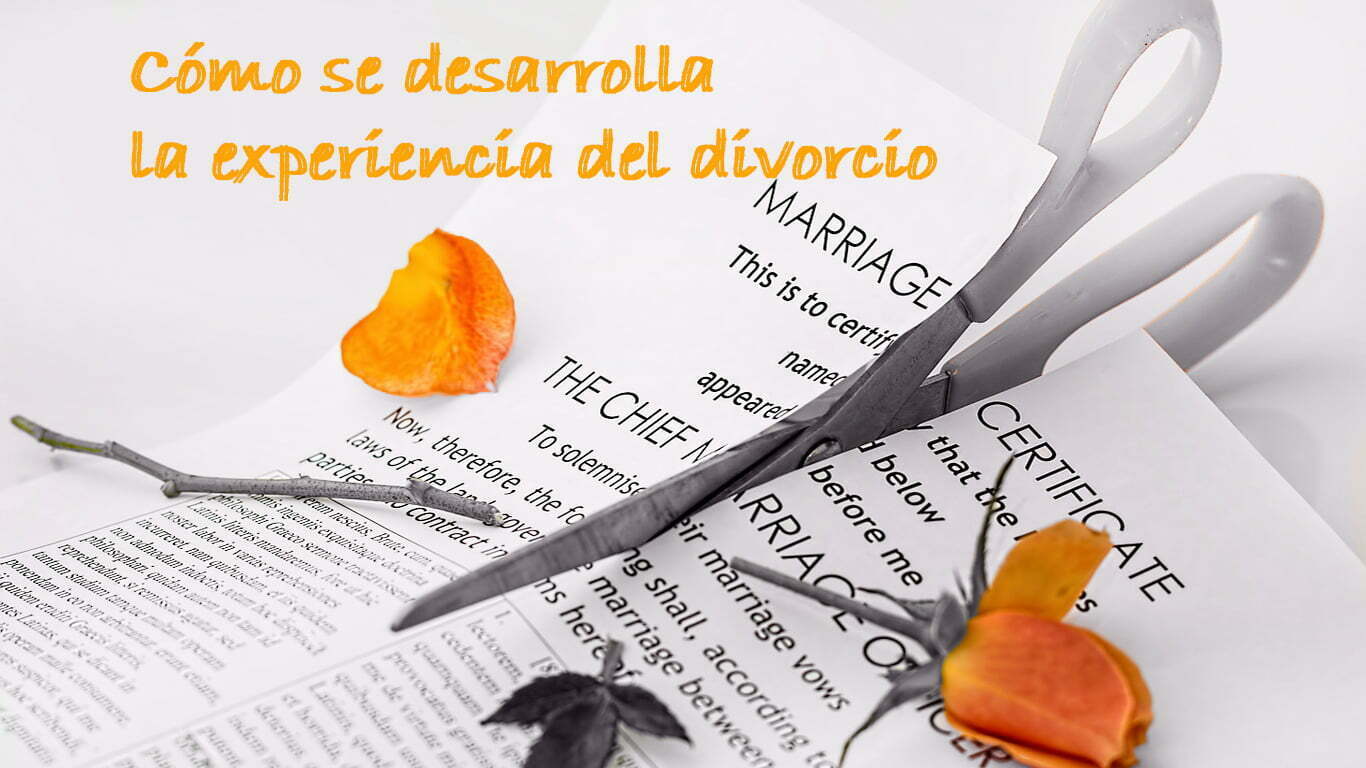 contemplative-young-woman-in-soft-purplish-hue