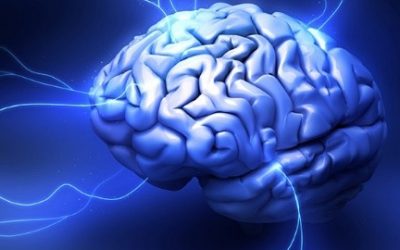 ¿Por qué funciona la psicoterapia?