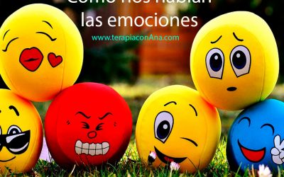 Cómo nos hablan las emociones