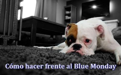 Cómo hacer frente al Blue Monday