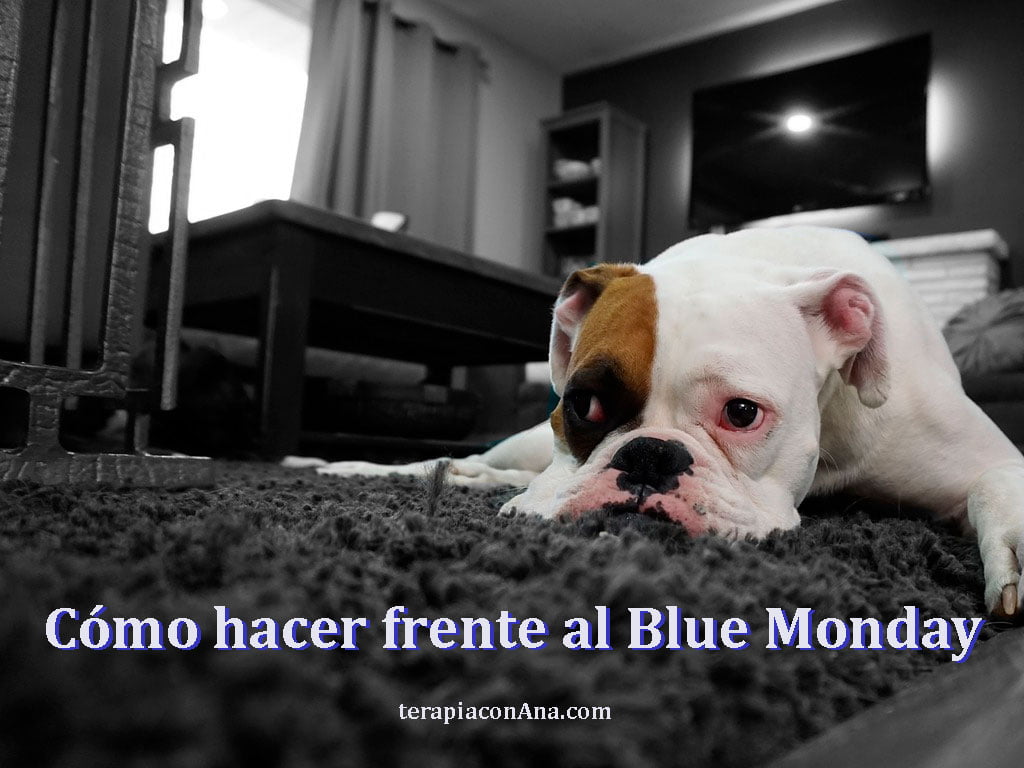 contemplative-young-woman-in-soft-purplish-hue