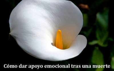 Cómo dar apoyo emocional tras una muerte