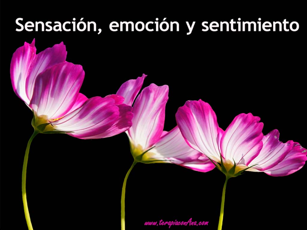 contemplative-young-woman-in-soft-purplish-hue